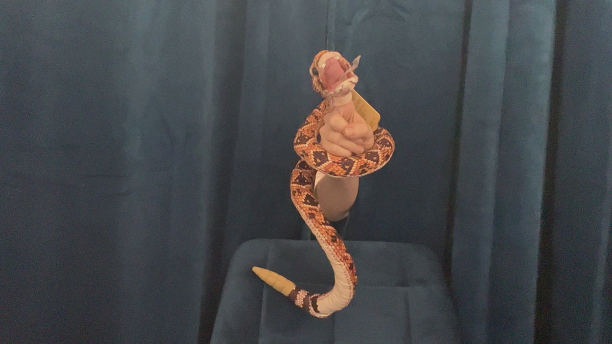 Rattlesnake