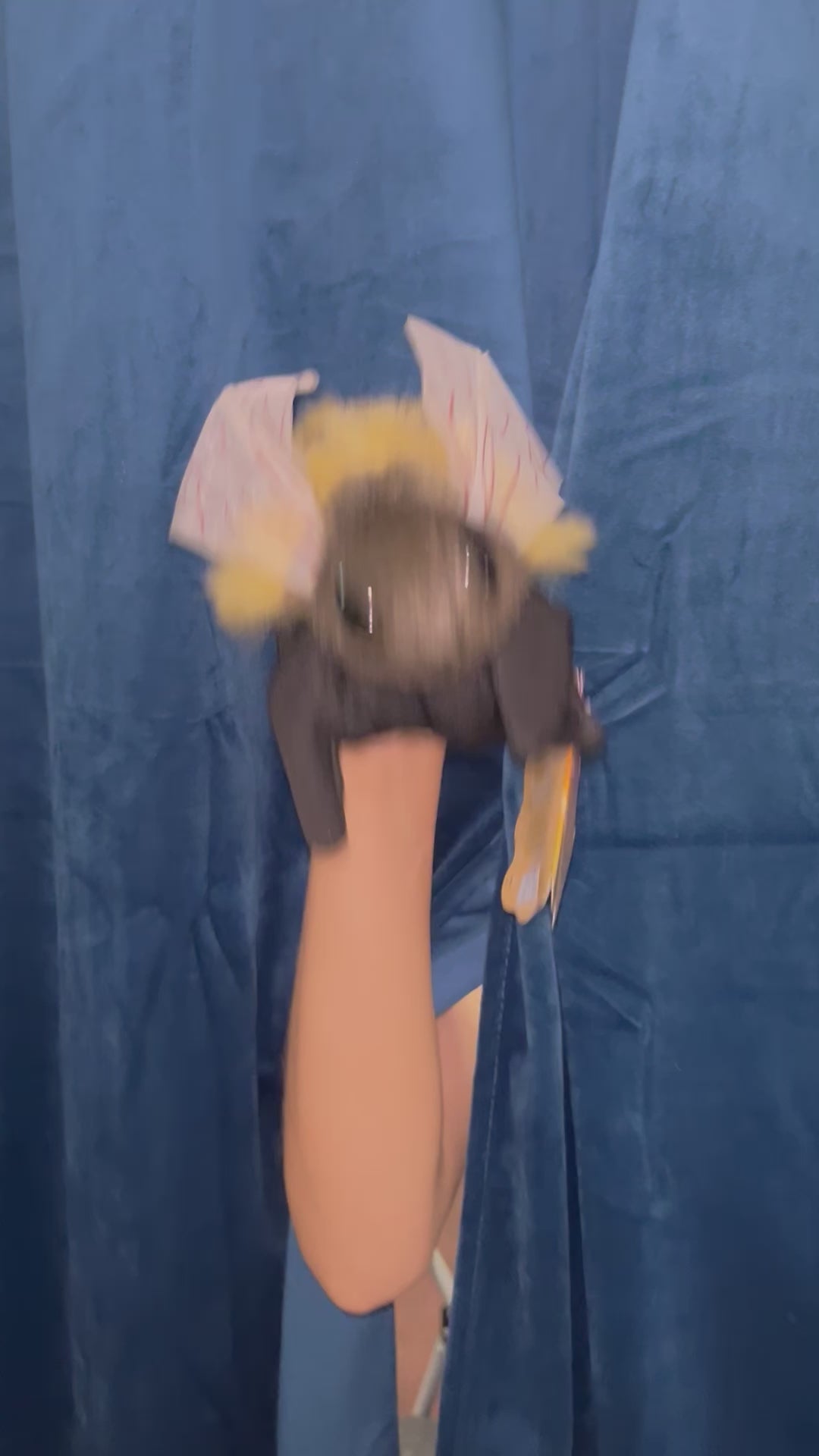 Honey Bee