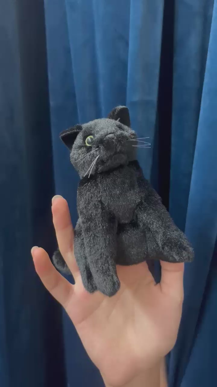 Mini Black Cat
