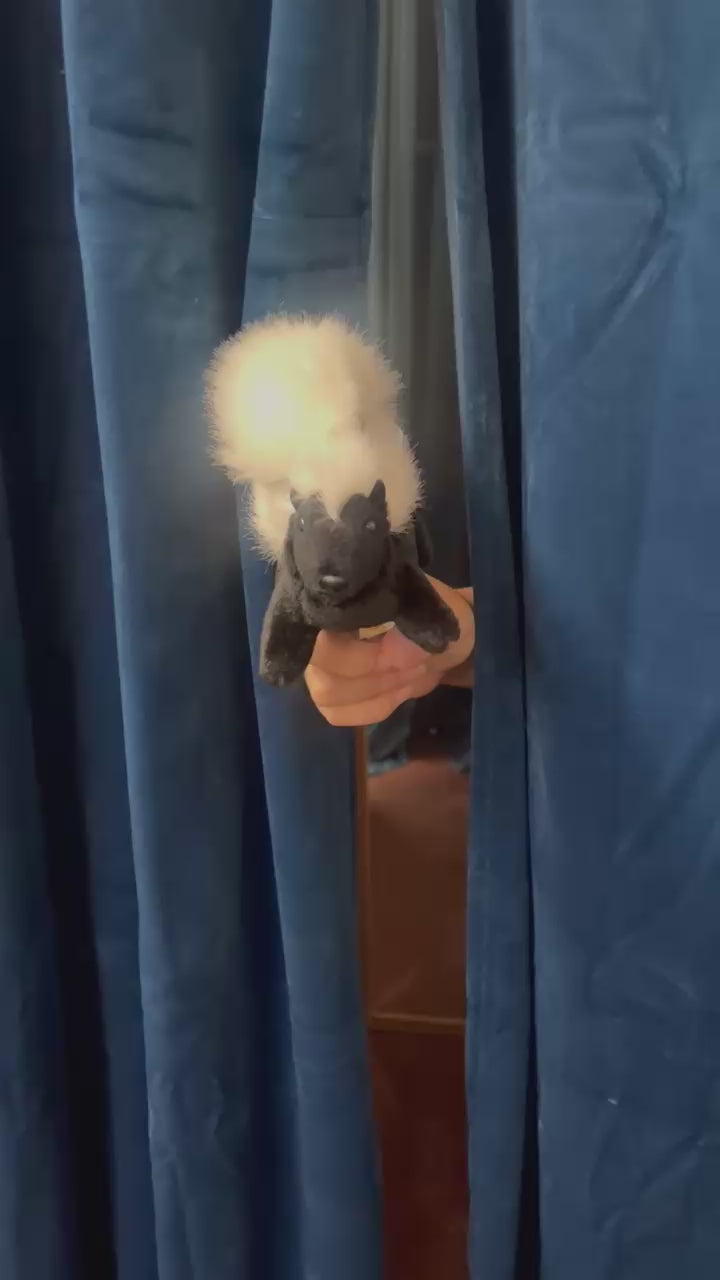 Mini Skunk