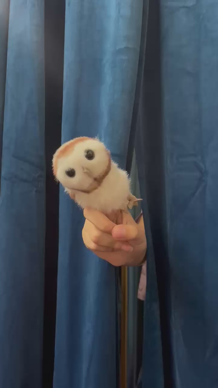 Mini Barn Owl