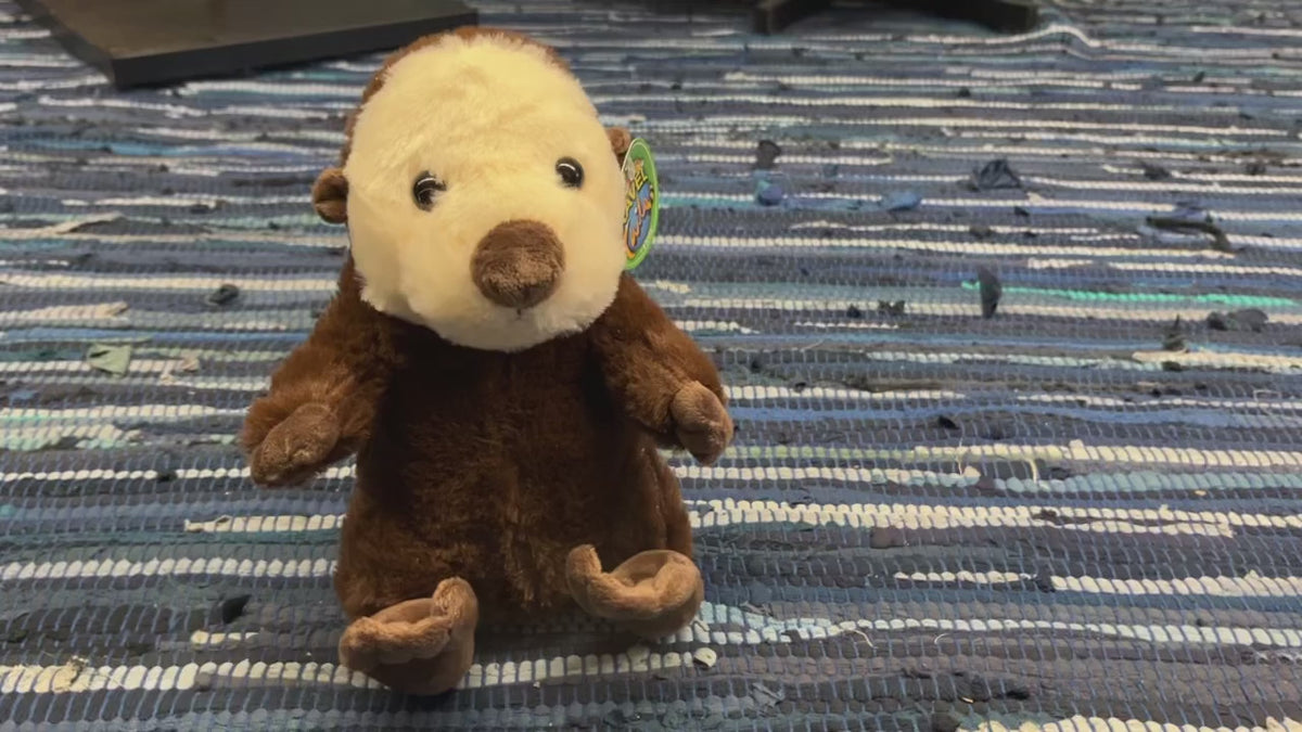Sitting Sea Otter