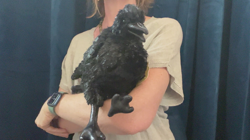 Crow