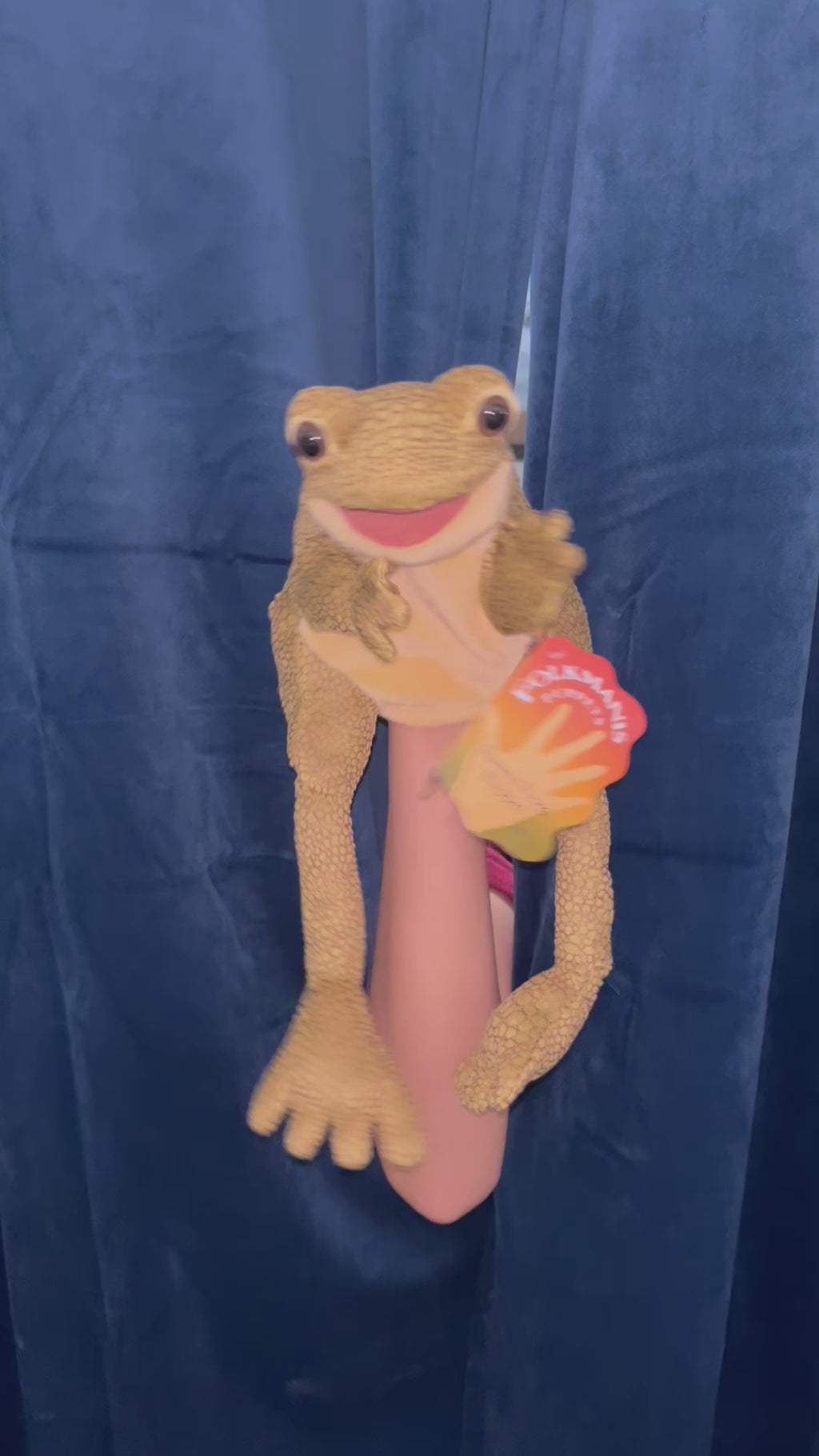 Funny Frog