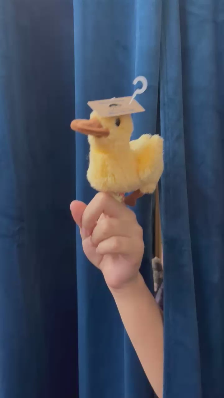 Mini Duckling