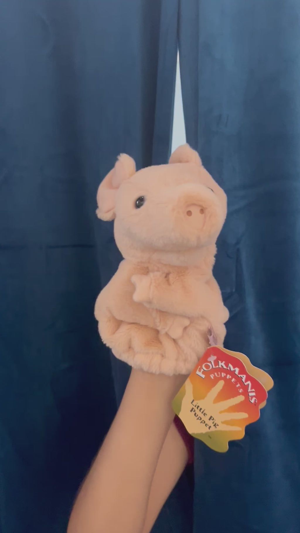Little Pig