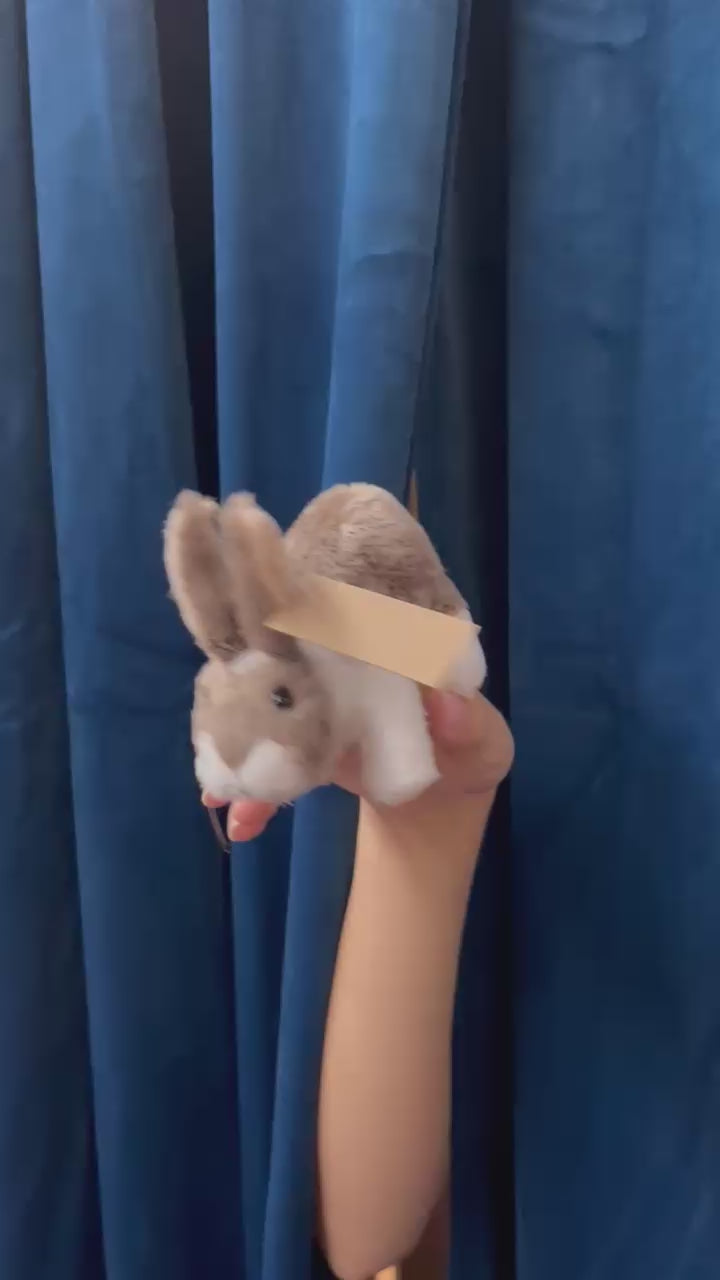 Mini Bunny Rabbit