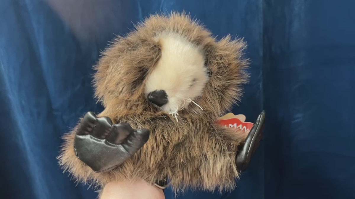 Baby Sea Otter