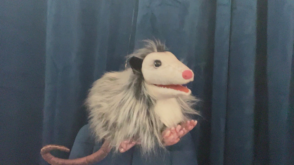 Opossum