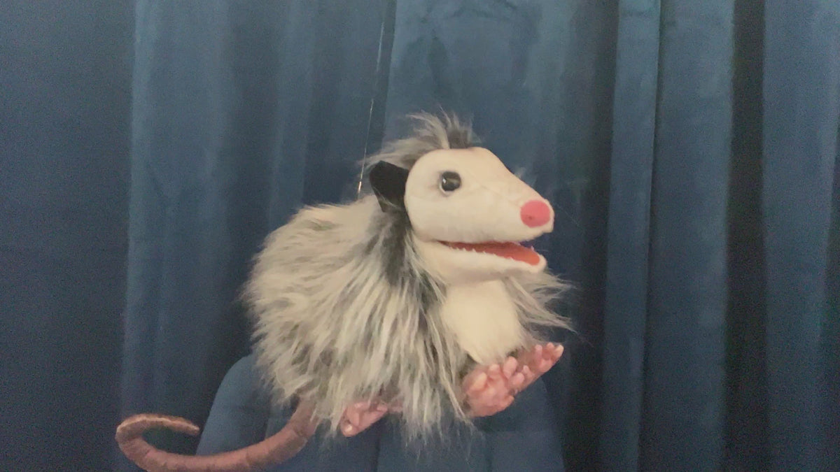 Opossum