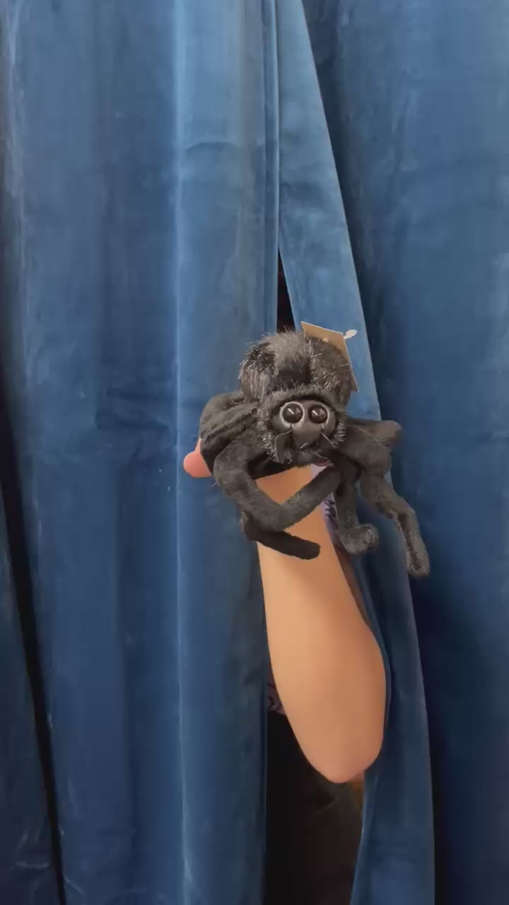 Mini Spider