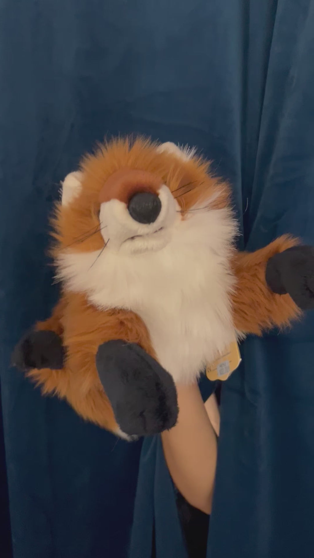 Small Red Fox