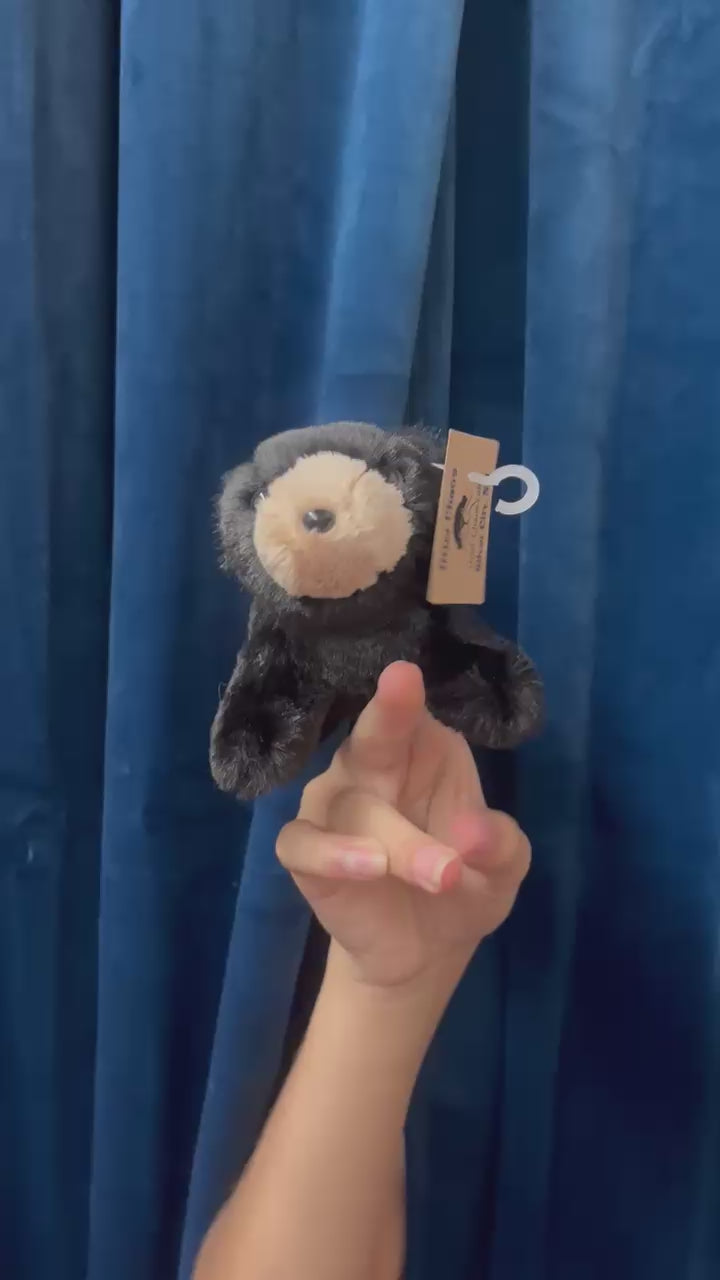 Mini Black Bear