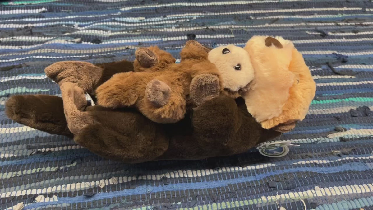 Sea Otter Mom with Baby