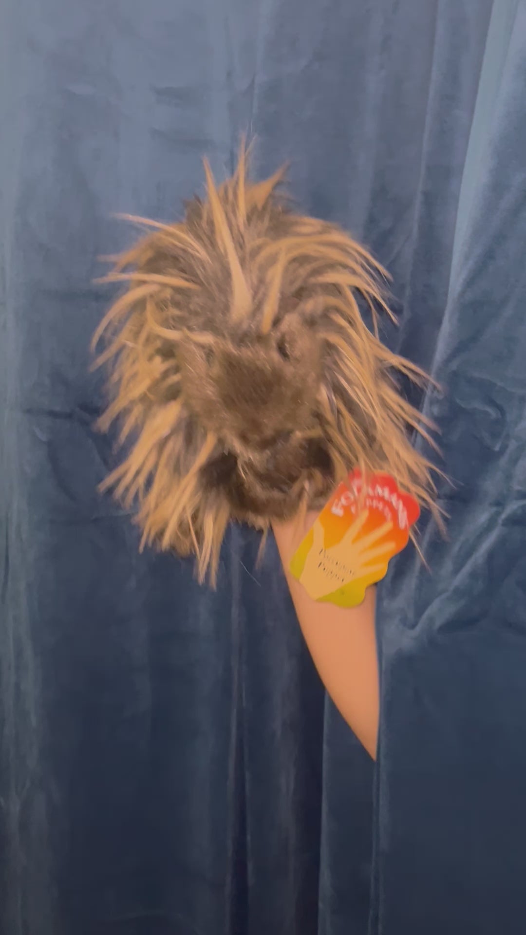 Porcupine