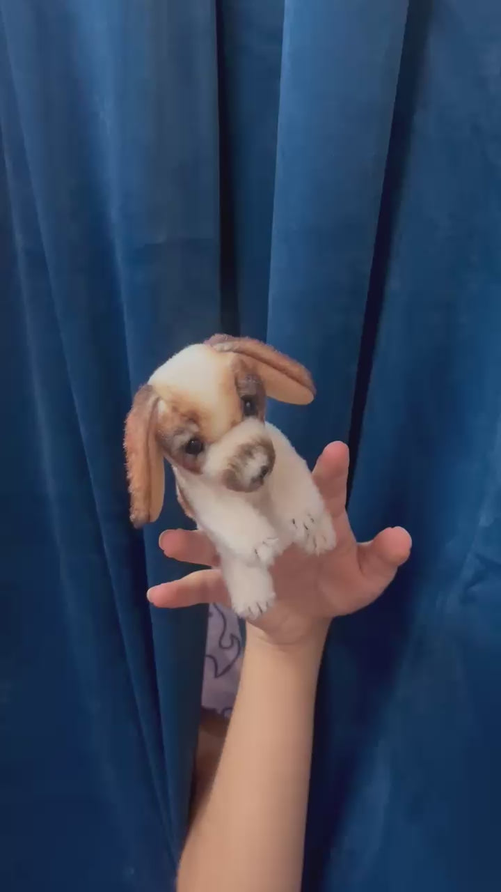 Mini Dog