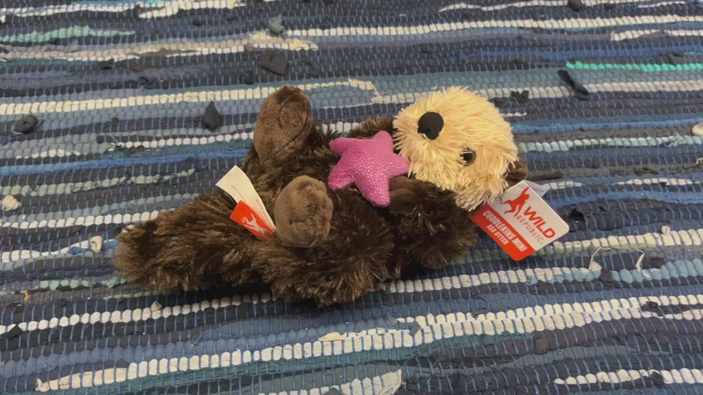 Sea Otter with Purple Star