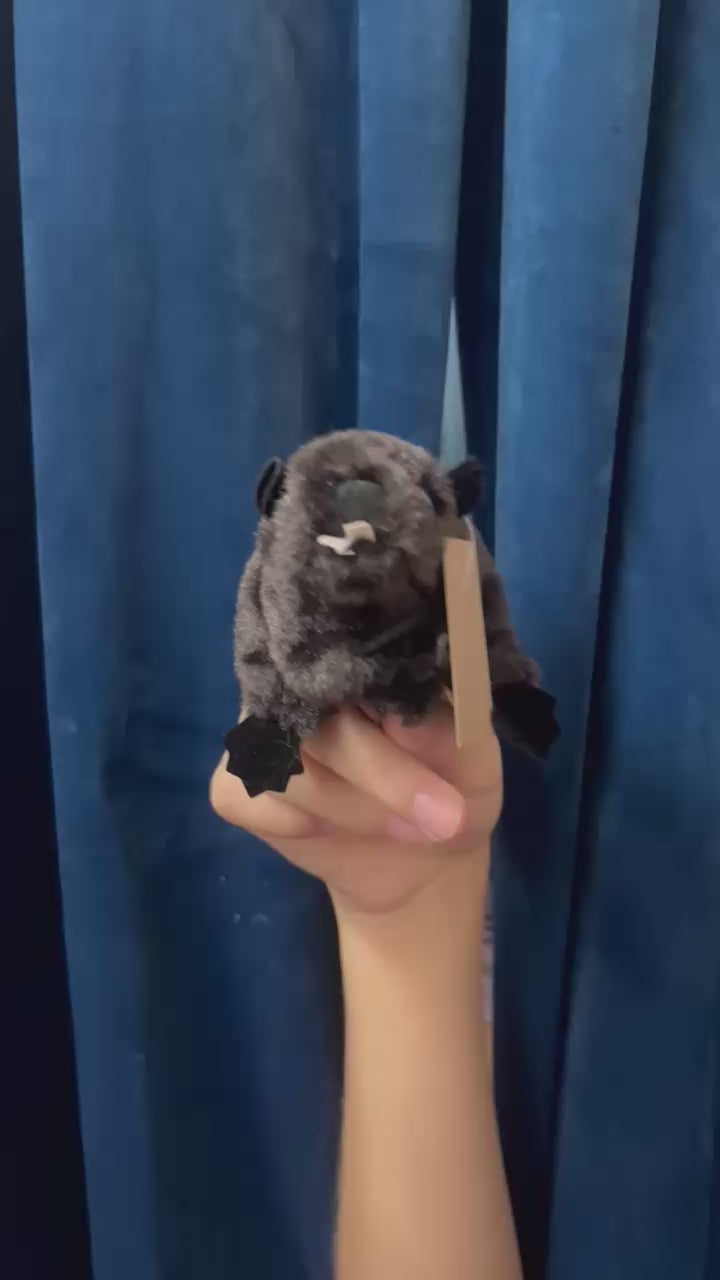 Mini Beaver