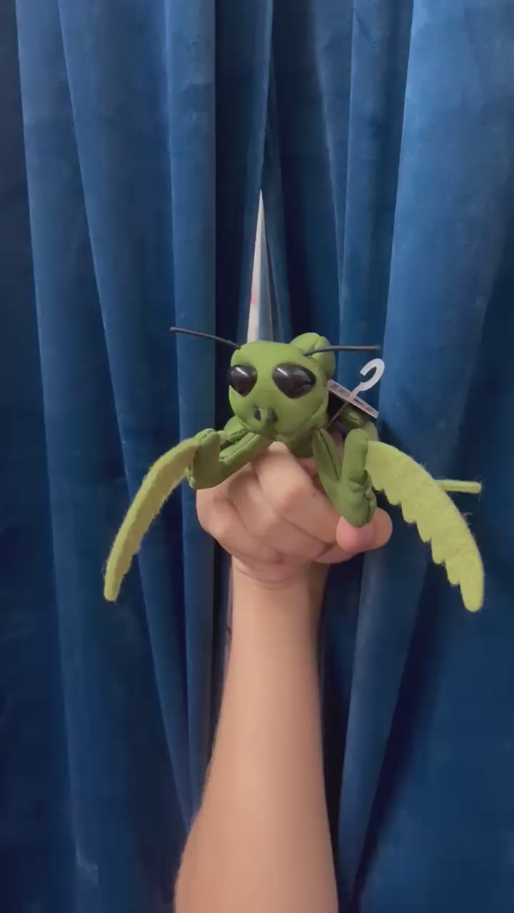Praying Mantis