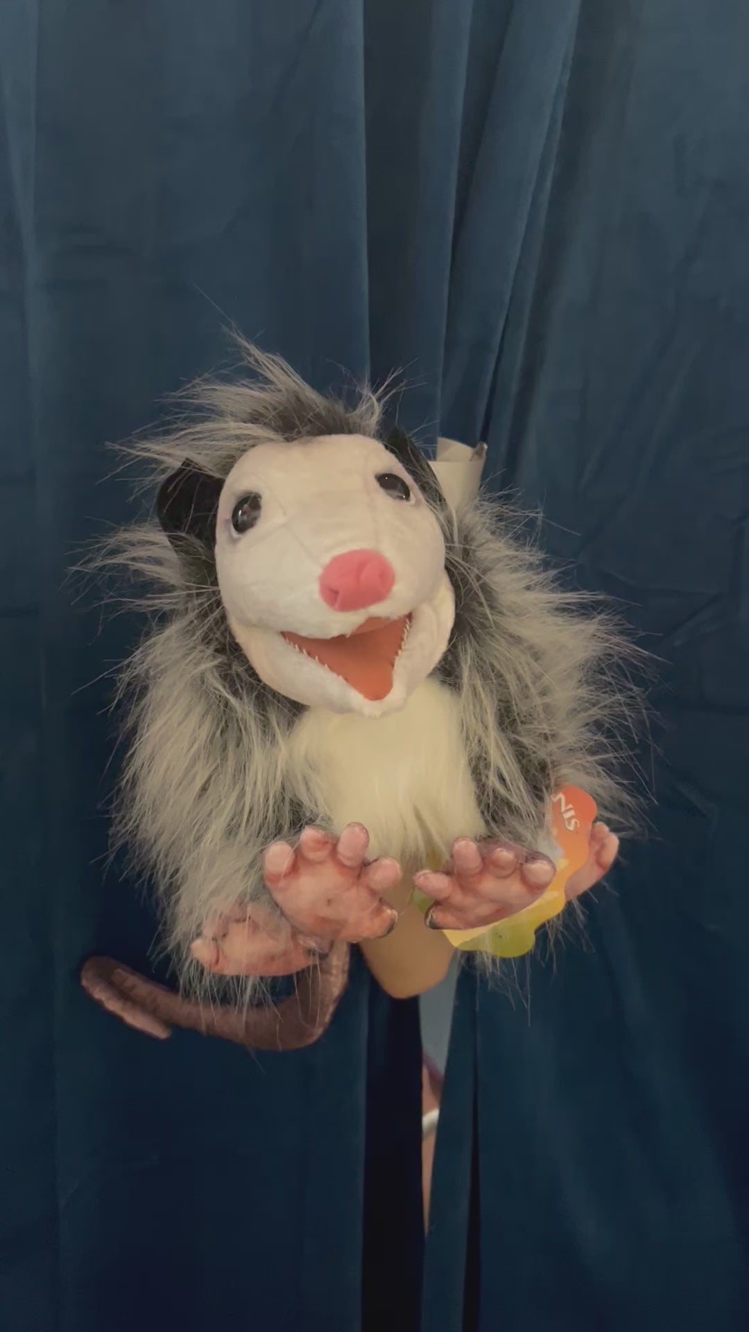 Opossum
