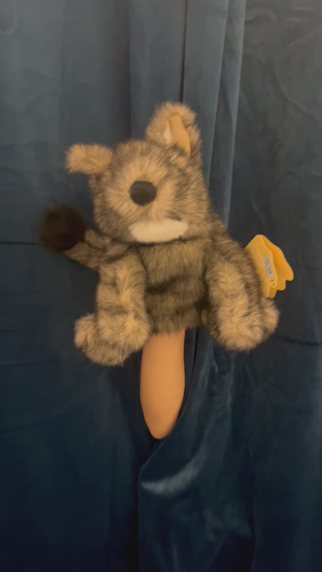 Small Coyote