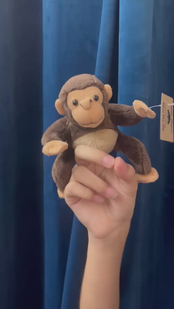 Mini Monkey