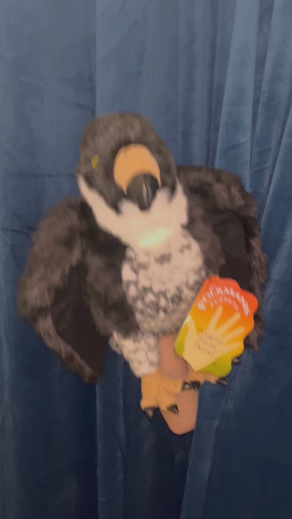 Peregrine Falcon