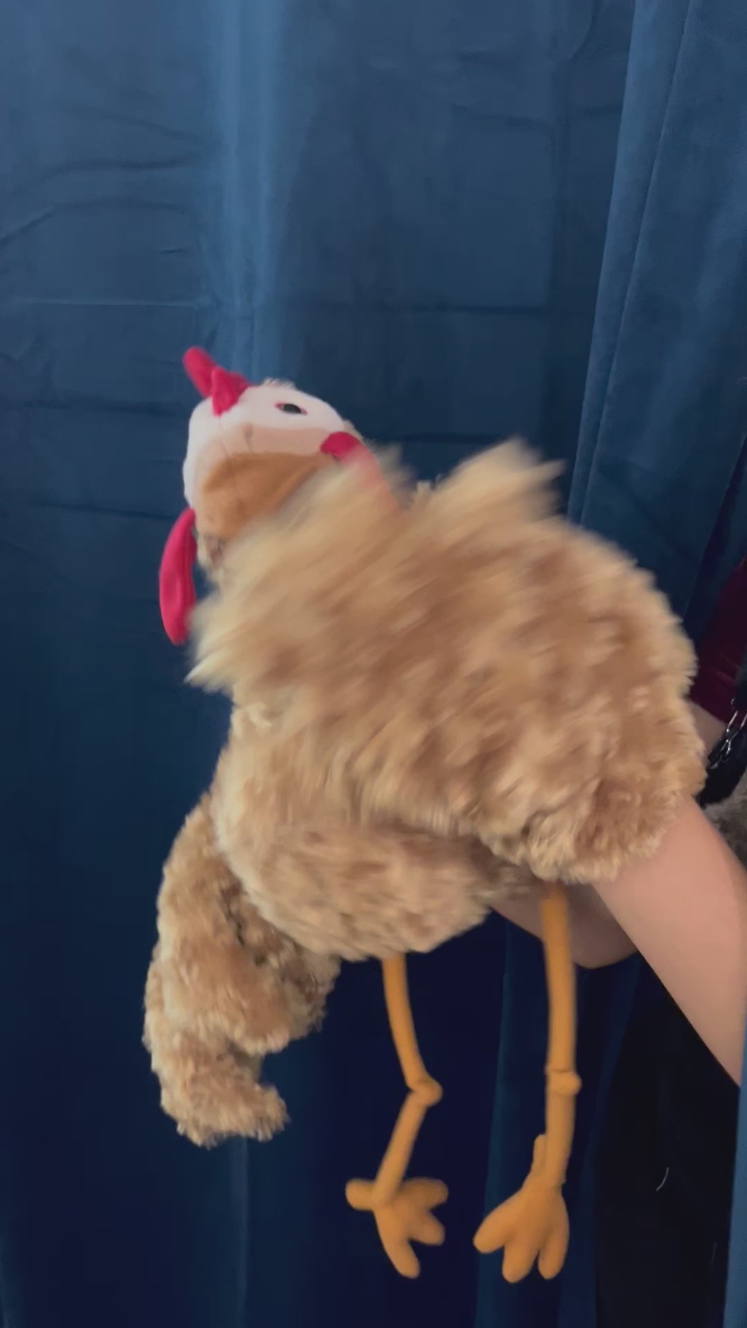 Chicken