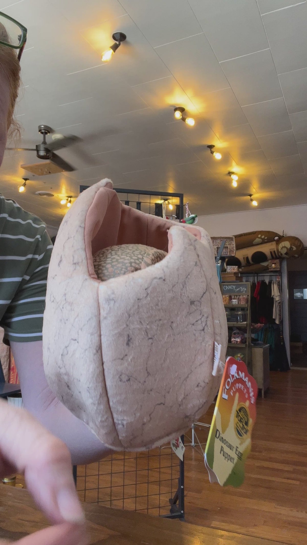 Dinosaur Egg
