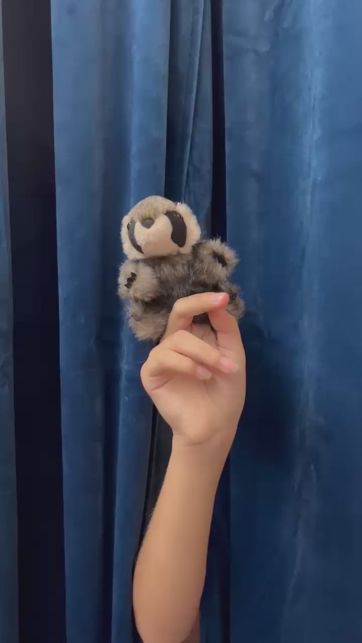 Mini Raccoon