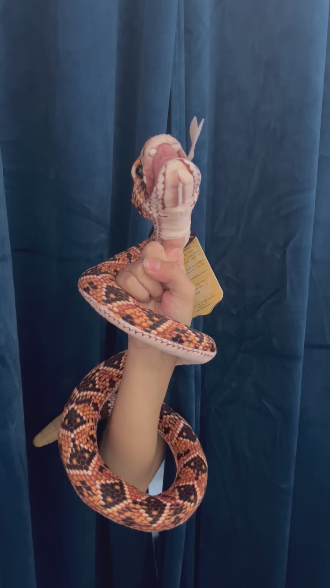 Rattlesnake