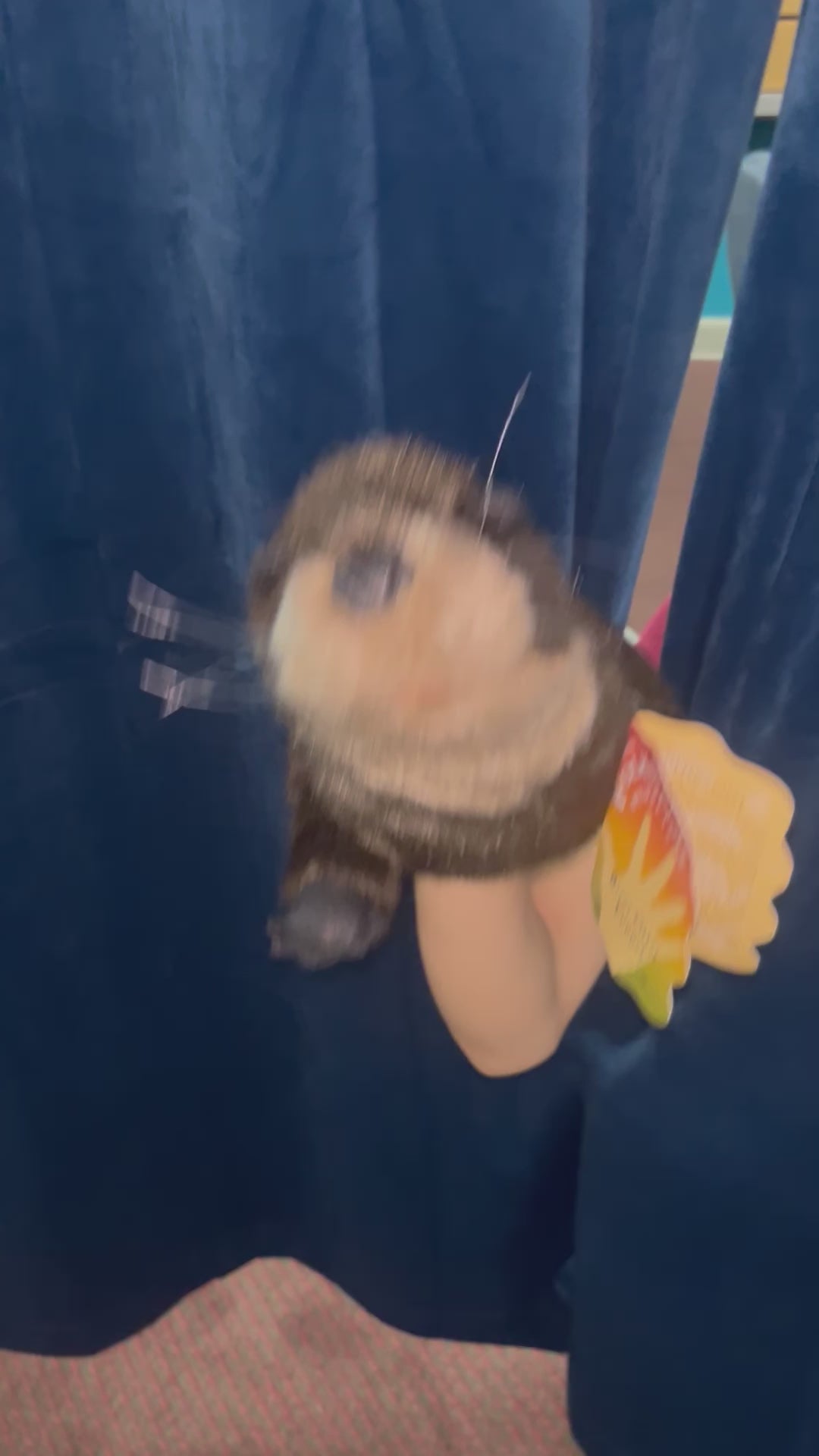 River Otter Puppet