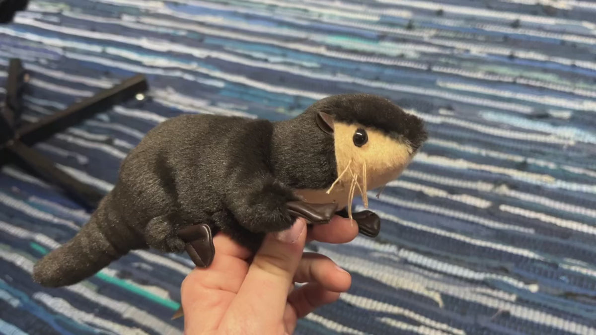 Mini River Otter